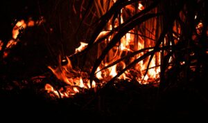 Waldbrand bei Los Angeles breitet sich rasend aus - und entlarvt unsere Sorglosigkeit - Beitragsbild auf brandaktuell